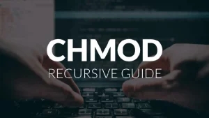 Linux 系统中 chmod 批量设置文件或子目录权限的小技巧