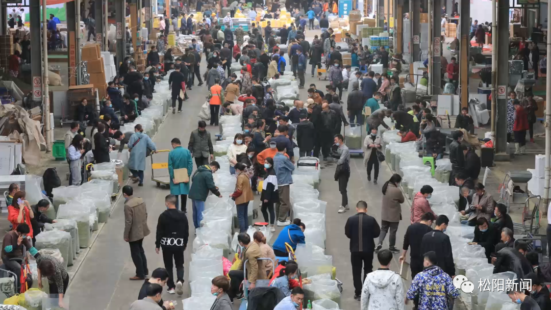 松阳茶·香天下丨网红茶、科技茶、致富茶——松阳茶市场之路越走越宽