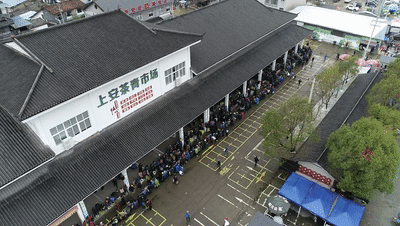 松阳茶·香天下丨网红茶、科技茶、致富茶——松阳茶市场之路越走越宽