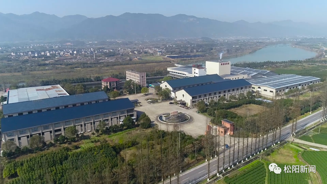 松阳茶·香天下丨网红茶、科技茶、致富茶——松阳茶市场之路越走越宽