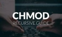 Linux 系统中 chmod 批量设置文件或子目录权限的小技巧